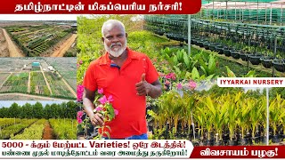 🌴🌿 இயற்கை நர்சரி மிகப்பெரிய உற்பத்தி நிலையம் 😱 No Hybrid plants ❗ Biggest nursery in tamilnadu [upl. by Kemme]