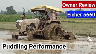 Eicher 5660 Puddling Performance  धान के लिए खेत तैयार करते हुए [upl. by Yzdnil]