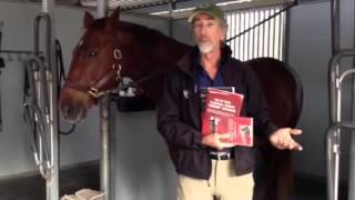 Will Faerbers Book Club If Horses Could Speak [upl. by Huggins763]