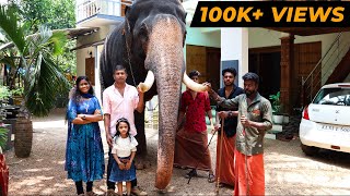 ഗജവീരൻ ശ്രീ അയ്യപ്പനെ പരിചയപ്പെടാം  Kerala Elephant Sree Ayyappan  Cheerulli Media [upl. by Arihaz]