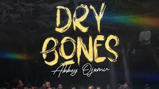 Dry Bones by Abbey Ojomu Lyrics Video [upl. by Ajed]