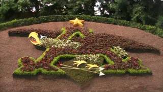 Budweiser Jingle and Clydesdale Hamlet at Busch Gardens Africa [upl. by Dubenko407]