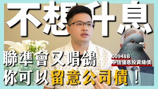 【阿格力】唯一十元就能入手月月配債券ETF，中信優息投資級債（00948B。 [upl. by Niwdog578]