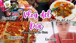 Vlog del dia  Despensa Comida  Hogar 💖 [upl. by Nemsaj]