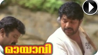 Sneham Thenalla Song From  Malayalam Movieb  Mayavi HD [upl. by Daffy20]