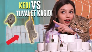 TUVALET KAĞIDI VS KEDİLERİM Evde Kedi Olimpiyatları [upl. by Mireielle]