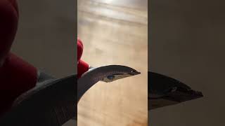 First time trying a Carbide Scraper diy scraper [upl. by Aytak207]