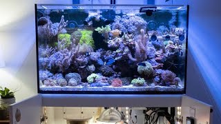 Red Sea Reefer 250 DIY Refugium and Tank Update [upl. by Llenol]