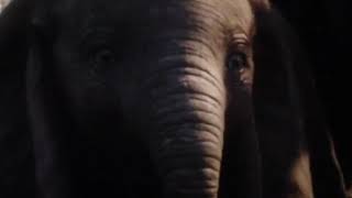 DUMBO End scene 2019 full movie link below [upl. by Ecnarwal]