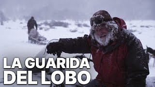 La Guarida del Lobo  Película completa en español  Película de suspense [upl. by Olgnaed938]