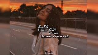 Datha dara  දෑත දරා  slowed  reverb [upl. by Publius]