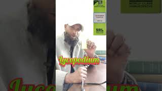 Lycopodium Homeopathic Medicine For Man Power [upl. by Sekyere543]