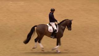 Dressage Unwrapped  2019 Olympia The London International Horse Show [upl. by Bashuk]