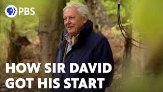 How Sir David Attenborough Got His Start [upl. by Nanny729]