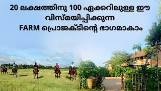 Own Your Own Farm Near Bangalore  20 Lakhs Onwards  Nimmy David 9847 180 770 [upl. by Arivle]