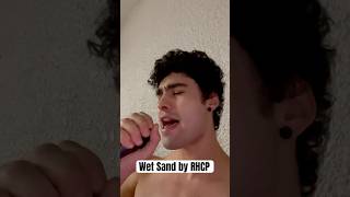 Wet Sand by RHCP Cover youtubeshorts shortsvideo singer fyp [upl. by Cristian]