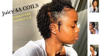 Easy Natural Hair Style  Defined 4A Curls [upl. by Muriah157]