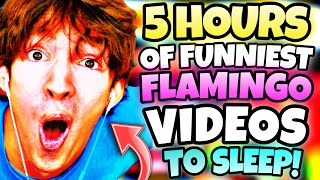 5 HOURS OF “FUNNIEST” FLAMINGO VIDEOS TO FALL ASLEEP [upl. by Ranson]