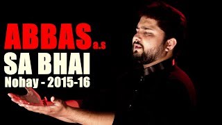 Nohay 2015  ABBAS ع SA BHAI  SYED RAZA ABBAS ZAIDI  Nohay 201516 [upl. by Malia]