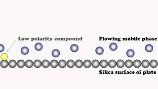 Chromatographic Separation Explained [upl. by Ritter82]