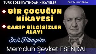 quotBir Çocuğun Hikayesiquot quotGarip Bilgisizler Alayıquot Memduh Şevket Esendal Hikayeleri [upl. by Llewen841]