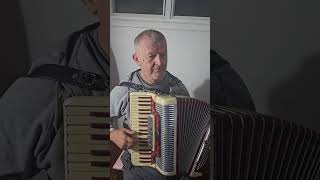 Brother Jesus Accordion Cover [upl. by Daisey]