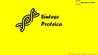 Síntese Proteica [upl. by Altheta]