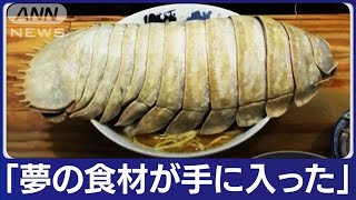 「カニとロブスターを足したような味」 ダイオウグソクムシのラーメンが話題2023年5月29日 [upl. by Llatsyrk]