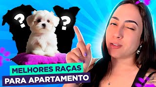 O QUE NÃO TE CONTAM RAÇAS PARA APARTAMENTO [upl. by Ydnys380]