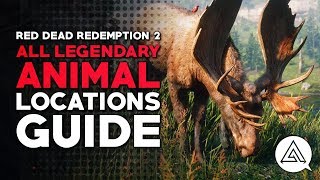 Red Dead Redemption 2  All Legendary Animal Locations Guide amp Hunting Tips [upl. by Akeryt569]