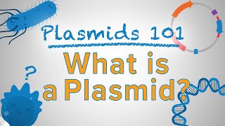 What is a Plasmid  Plasmids 101 [upl. by Ciapha]