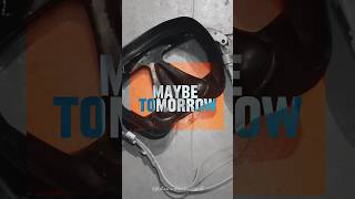 It’s not over until I win shorts shortvideo viralvideo motivation [upl. by Xylon]