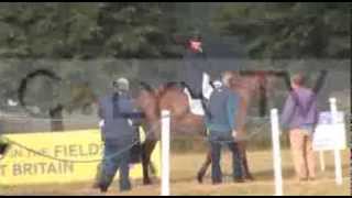 Pregnant Zara doing dressage at Gatcombe [upl. by Rehpotsirk676]