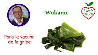 Vacuna de la gripe y Wakame [upl. by Annatnas]