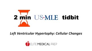 Elite Medical Preps 2min tidbit Hyperplasia vs Hypertrophy [upl. by Mahseh]