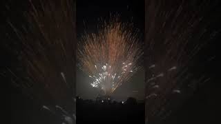 ESPECTACULAR Palmera de la Virgen Fuegos Artificiales Alborada Elche 2023🌟🎆 shortsvideo elche [upl. by Acinoda]