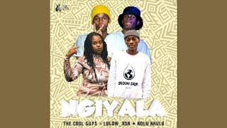 The Cool Guys x LulowRSA x Ndlu Nkulu  Ngiyala Official Audio  AMAPIANO [upl. by Auroora]