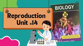 Development and structure of seed  Parts of seeds Reproduction Unit14 class 10th Biology [upl. by Eednarb]