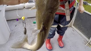 The Fattest Catfish Ever  Winter Catfishing Blues and Flatheads [upl. by Orsola823]