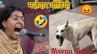 Nooran Sisters Roast🤣 ।। Nooran Sisters Funny video 😂।। Roast Mortem In Hindi [upl. by Wall157]