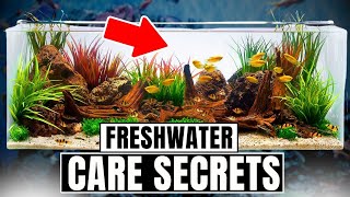 30 Freshwater Aquarium Tips Every Beginner Needs To Know [upl. by Paschasia]