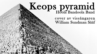 quotKeops pyramidquot  Hoola Bandoola Band cover av vissångaren William Sundman Sääf [upl. by Rekrap]