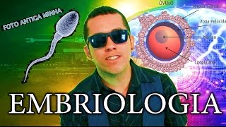 Aula 15 Embriologia  Da Fecundação a Organogênese  Aula de Biologia ENEM e Vestibular [upl. by Onid]