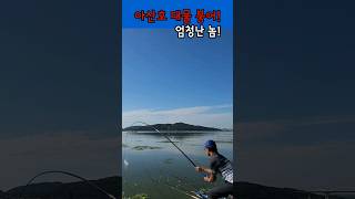 아산호 대물붕어 엄청난 놈 붕어낚시 fishing 아산호 [upl. by Hitoshi]