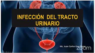 INFECCIÓN DEL TRACTO URINARIO [upl. by Camp]