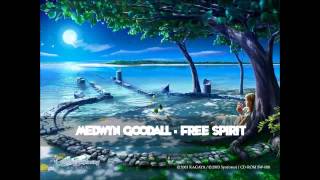 Medwyn Goodall  Free Spirit [upl. by Solokin]