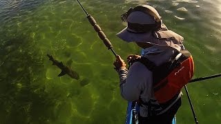 Key West Kayak Fishing  Prospecting and Shark Fishing Jurassic Island [upl. by Ecylla815]