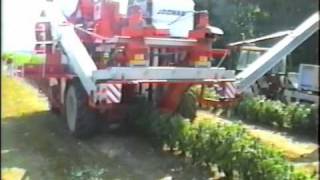 Berry harvester  marjanpoimintakone  Joonas International [upl. by Lawan]