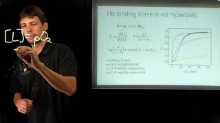 Topic 613  Hemoglobin and the Hill plot [upl. by Sibyls]