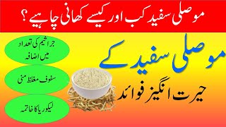 Musli Safed benefits in Urdu  safed musli kay fayde in Urdu Hindi  Herbs  موصلی سفید کے فائدے [upl. by Annid]